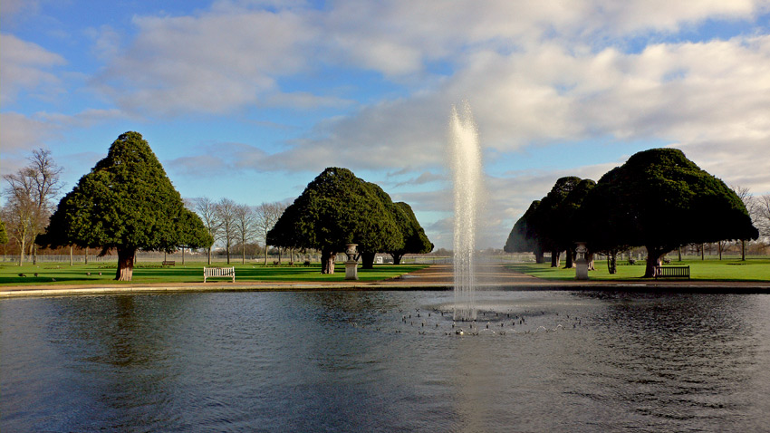 photo "The Pond" tags: nature, 