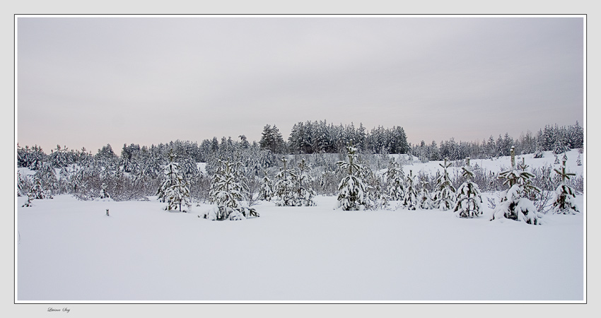 фото "***" метки: пейзаж, зима