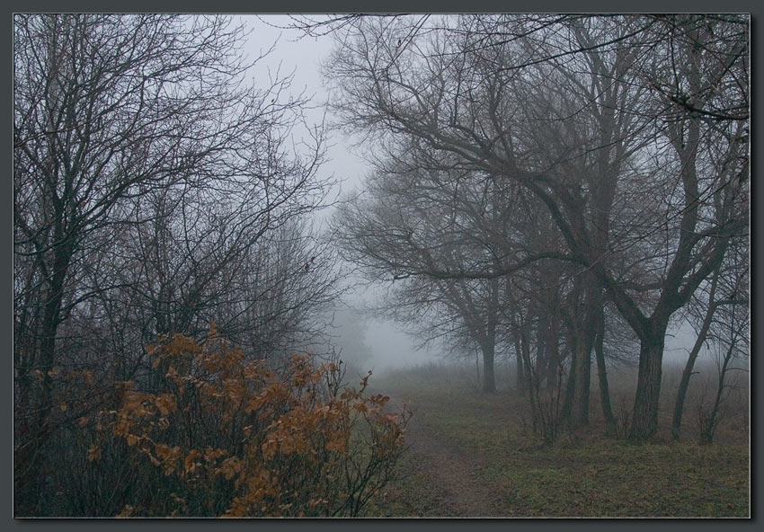 фото "Туманное" метки: пейзаж, осень