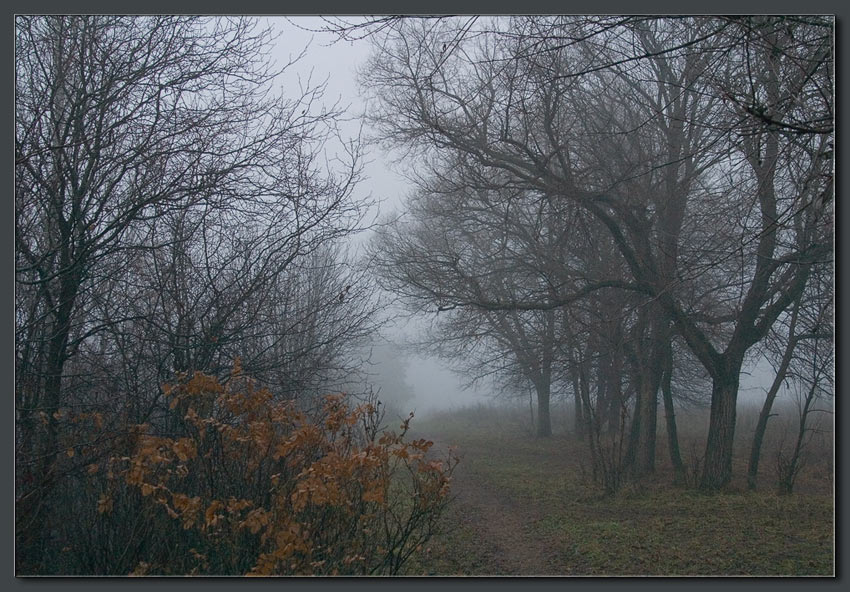 photo "Grey Fog" tags: landscape, autumn
