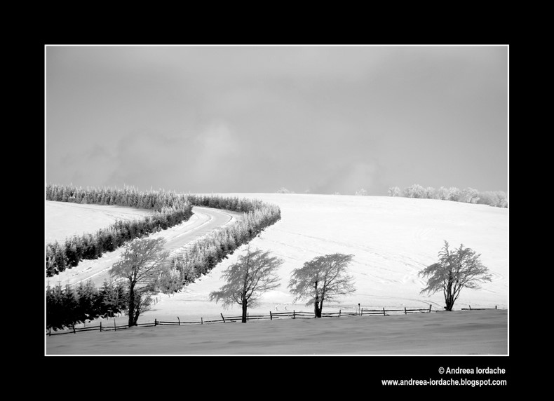 photo "Winter's drawing" tags: landscape, black&white, mountains