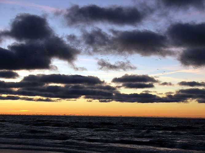 photo "Flying home" tags: landscape, clouds, water