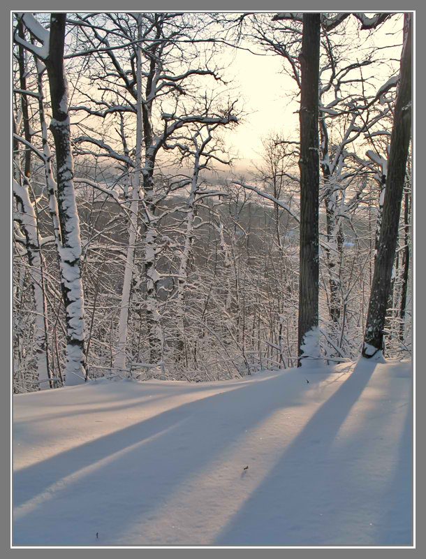 фото "В зимнем лесу..." метки: пейзаж, лес