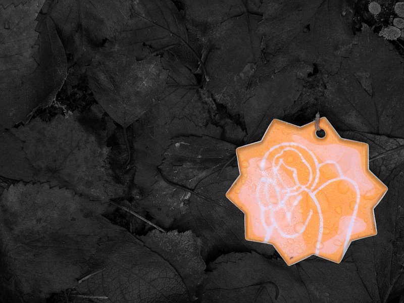 photo "Lost little angel" tags: still life, misc., 