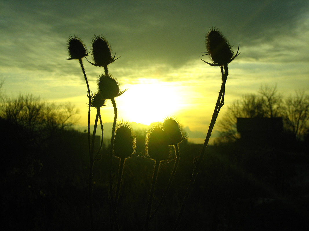 photo "Sunset" tags: landscape, sunset