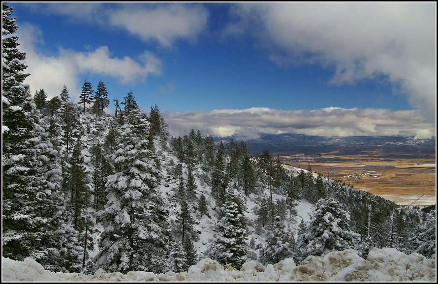 фото "Frost and Sun" метки: пейзаж, зима