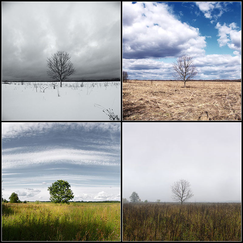 photo "four seasons" tags: landscape, 