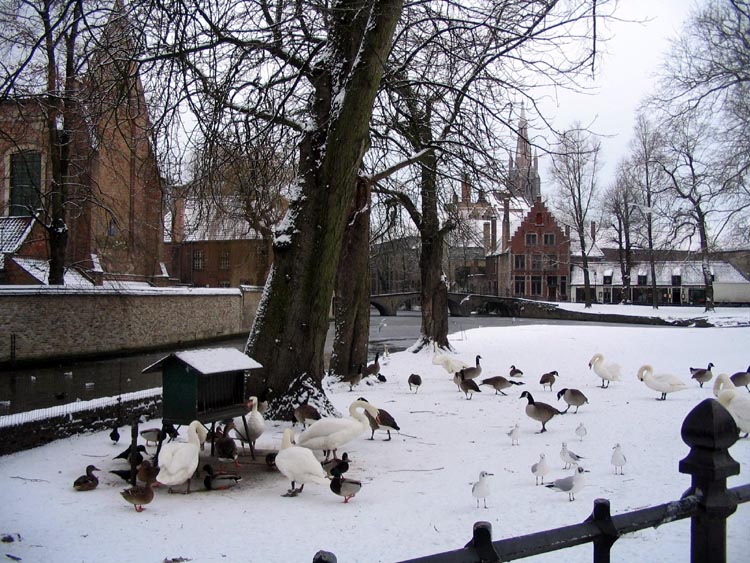 фото "обеденный перерыв" метки: путешествия, пейзаж, Европа, зима