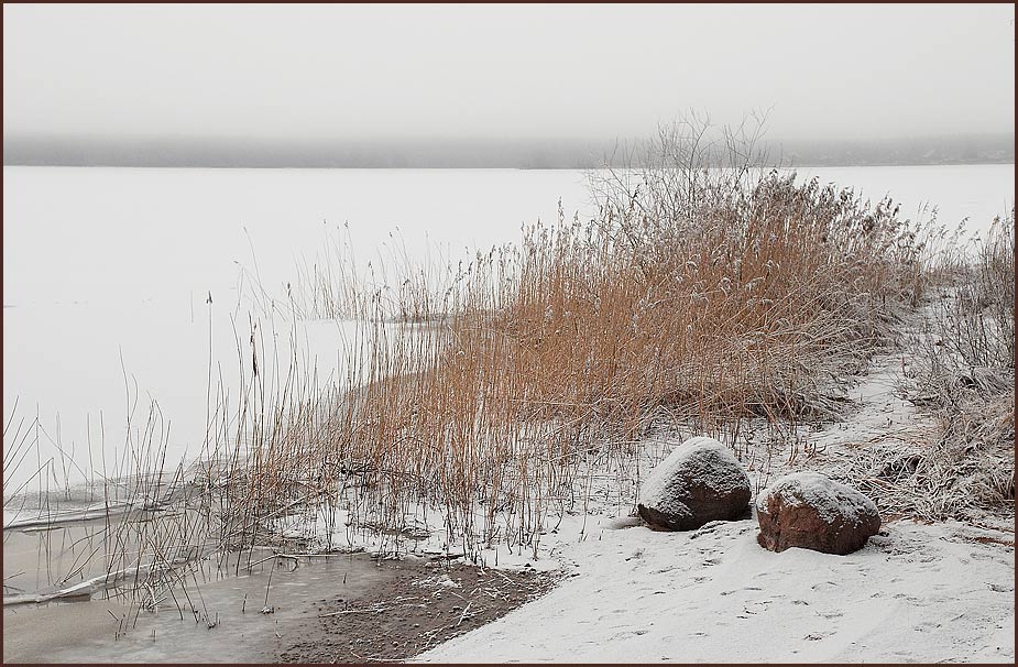 photo "Peno Lake in warm January (2)" tags: landscape, winter