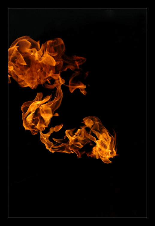 photo "The Fire Rose" tags: still life, abstract, 