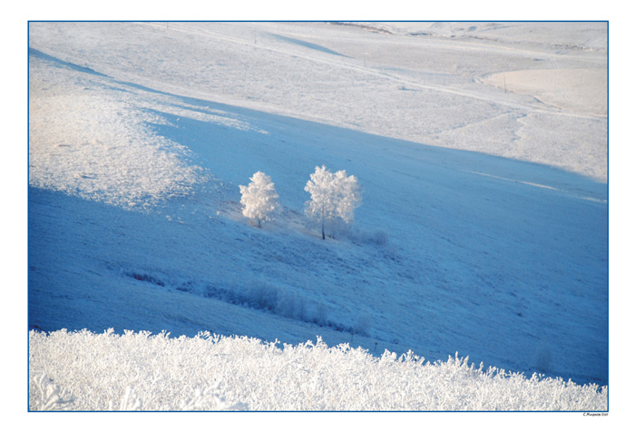 фото "январь" метки: , 