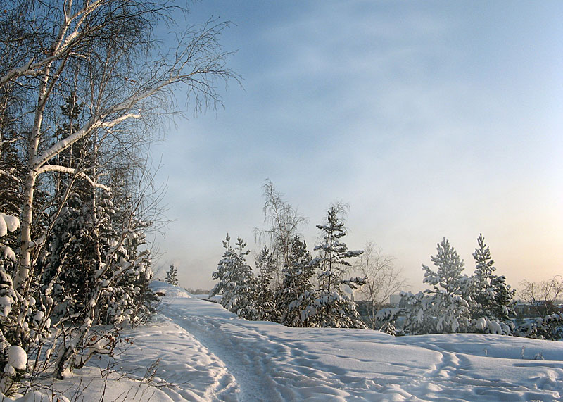 photo "Winter footpath" tags: landscape, winter