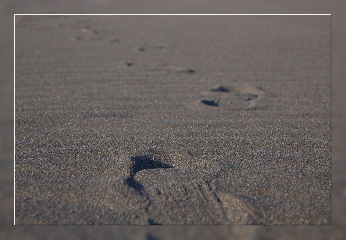 photo "Traces on sand..." tags: landscape, travel, Asia