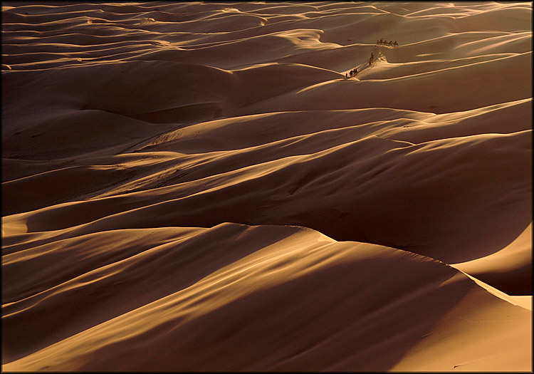 photo "The desert" tags: landscape, travel, Africa, sunset