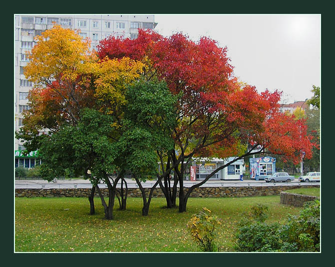 photo "Colors of autumn" tags: landscape, nature, autumn