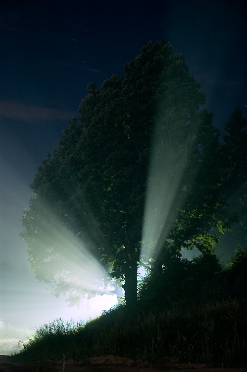 photo "Arrival" tags: landscape, forest, night