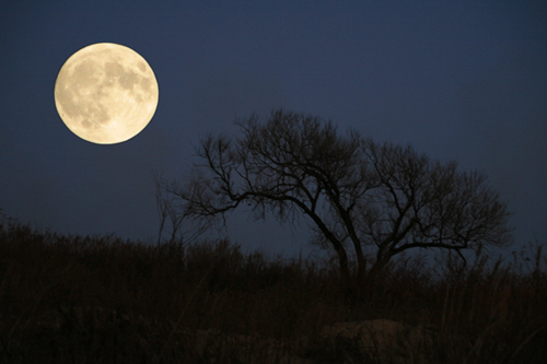 photo "***" tags: landscape, night