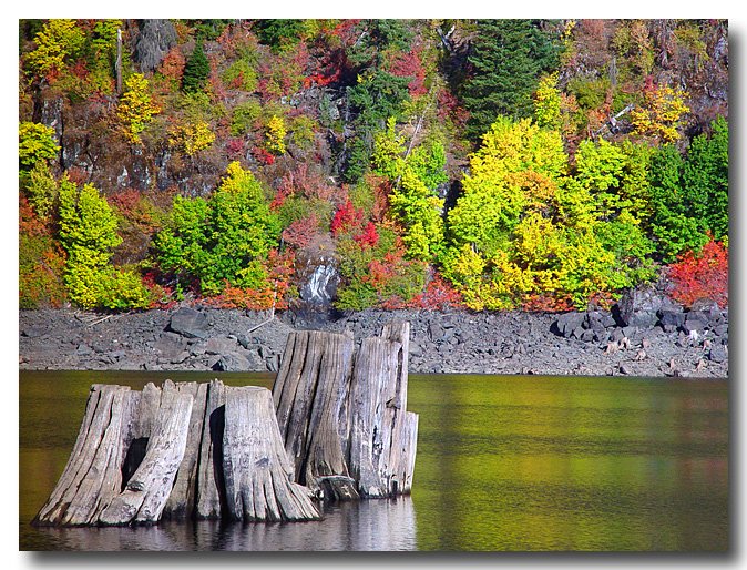 photo "Stumps" tags: landscape, autumn, water