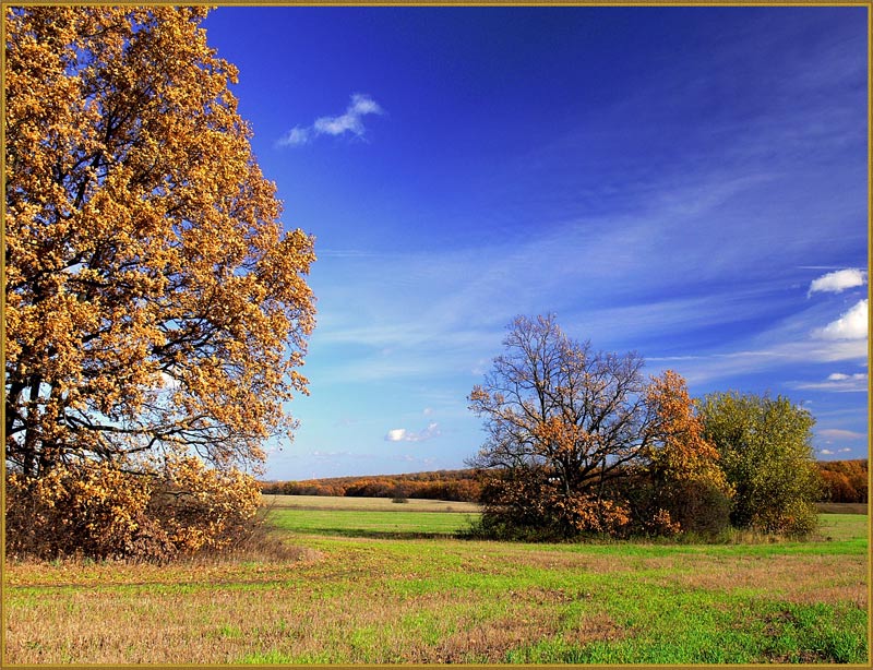 фото "Осенняя" метки: пейзаж, осень