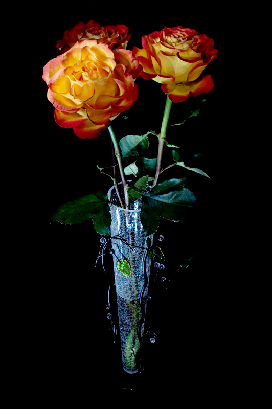 photo "Roses" tags: still life, nature, flowers