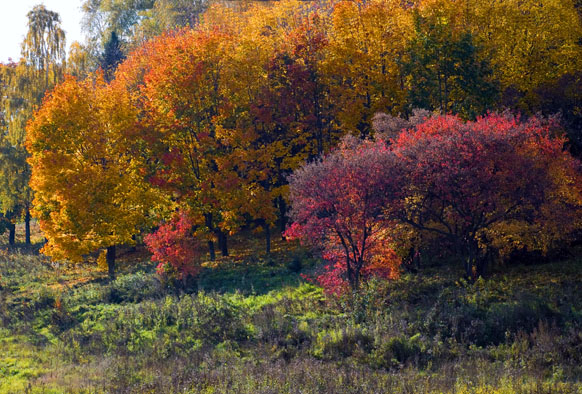 photo "***" tags: landscape, autumn