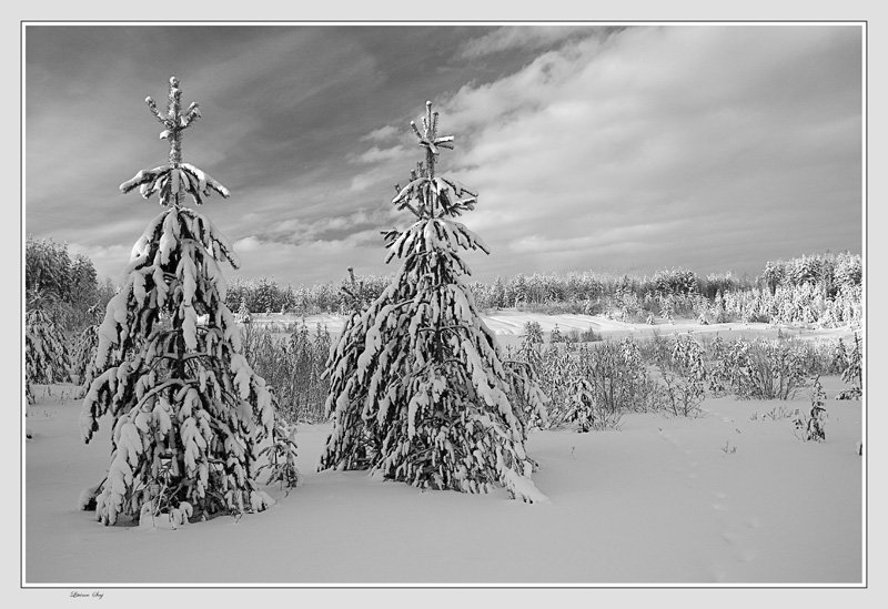 фото "***" метки: пейзаж, зима