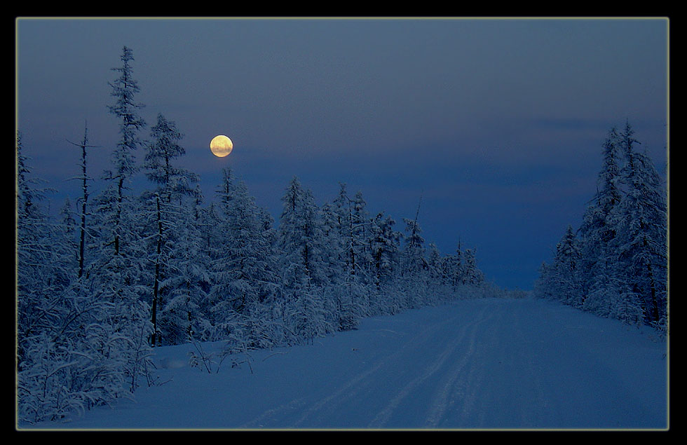 photo "The Night" tags: landscape, night