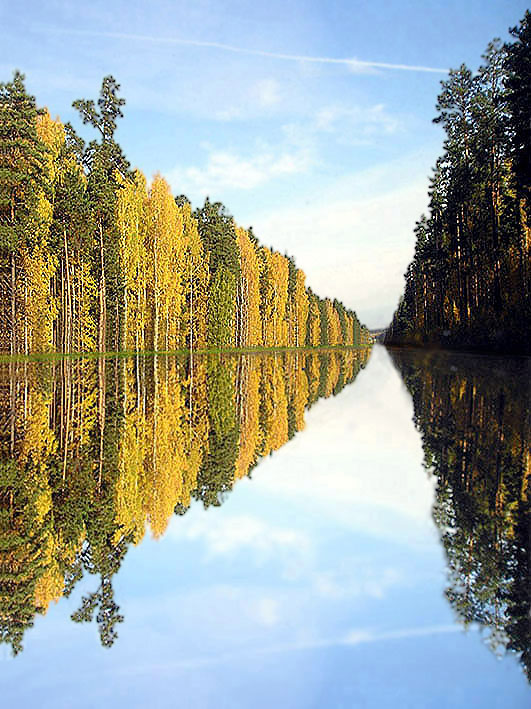 photo "Mirror road" tags: landscape, summer