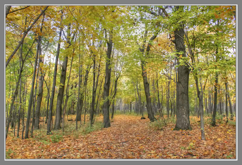 photo "***" tags: landscape, autumn