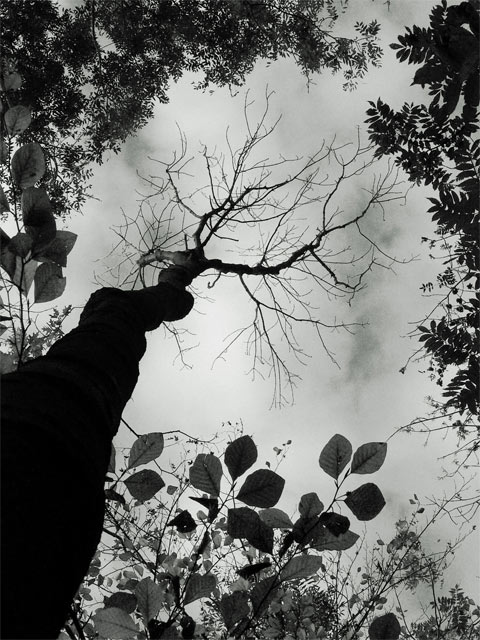 photo "Frame" tags: black&white, 