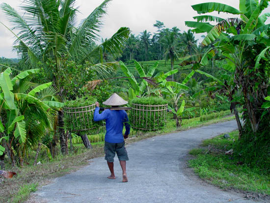 photo "+++" tags: travel, Asia