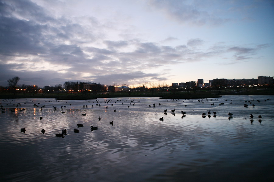 photo "First  ice" tags: landscape, sunset, water