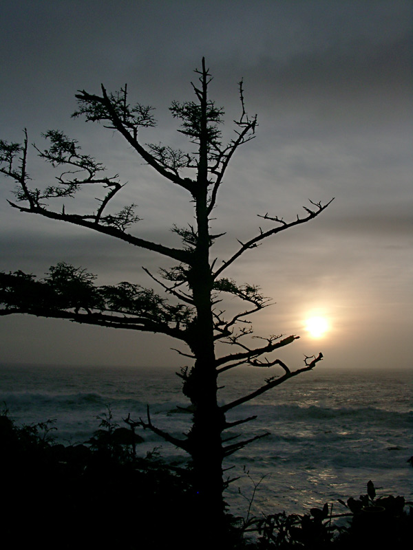 фото "Pacific sunset" метки: пейзаж, путешествия, Северная Америка, закат