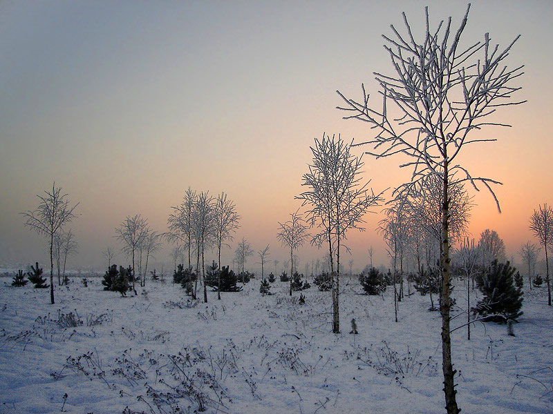фото "***" метки: пейзаж, зима