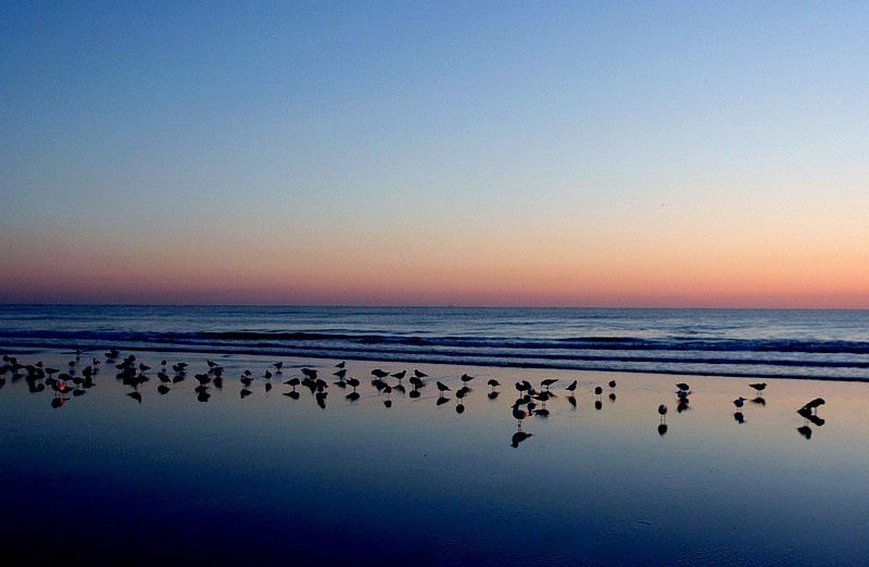 photo "Expecting in the Sun" tags: landscape, sunset