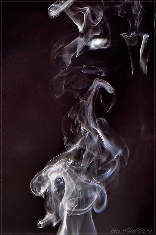 photo "***" tags: misc., 