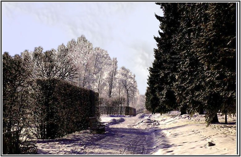 фото "Аллея  утром. г Пушкнн" метки: пейзаж, зима
