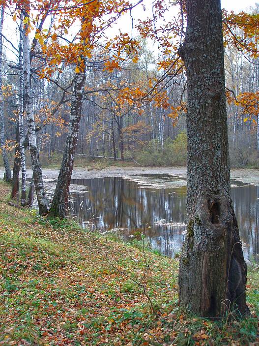 фото "Осенний свет" метки: пейзаж, осень