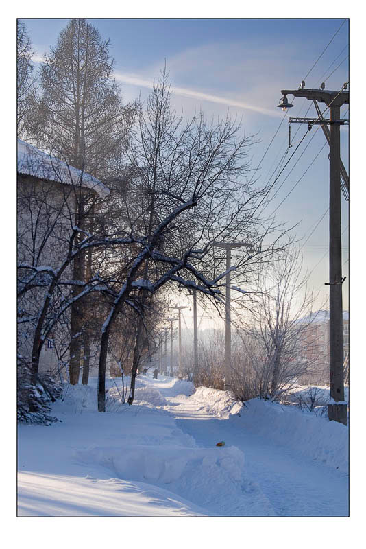 photo "Frost" tags: landscape, winter