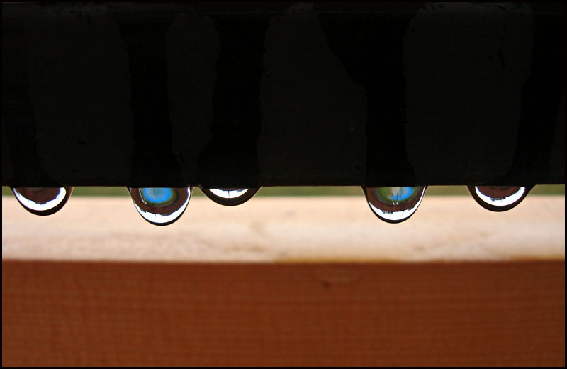 photo "After January rain" tags: macro and close-up, abstract, 
