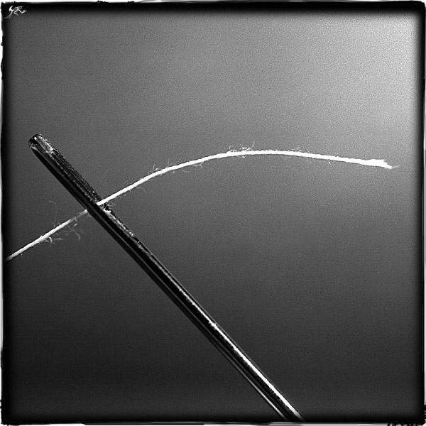 photo "to thread a needle" tags: macro and close-up, black&white, 