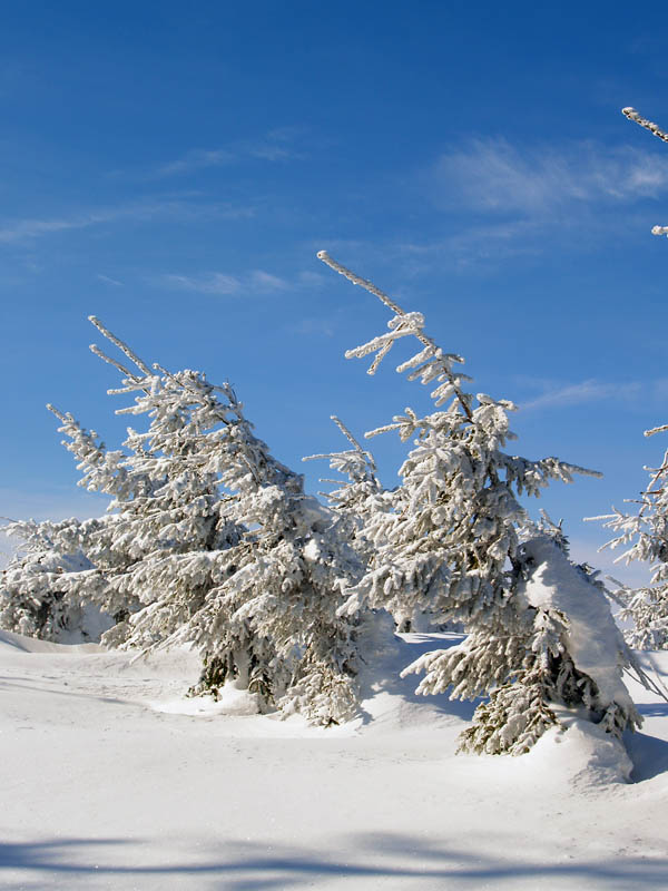 photo "It was windy day" tags: landscape, winter