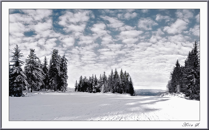 photo "***" tags: landscape, forest, winter