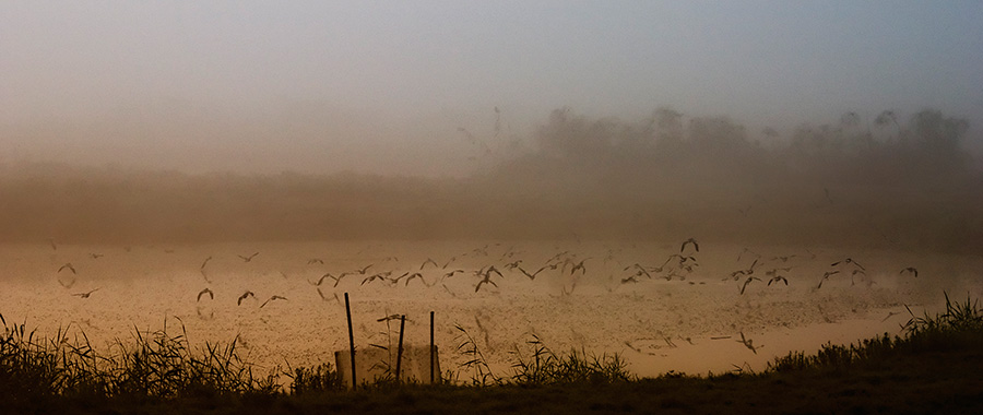 photo "A Second Before Sunrise" tags: landscape, nature, water