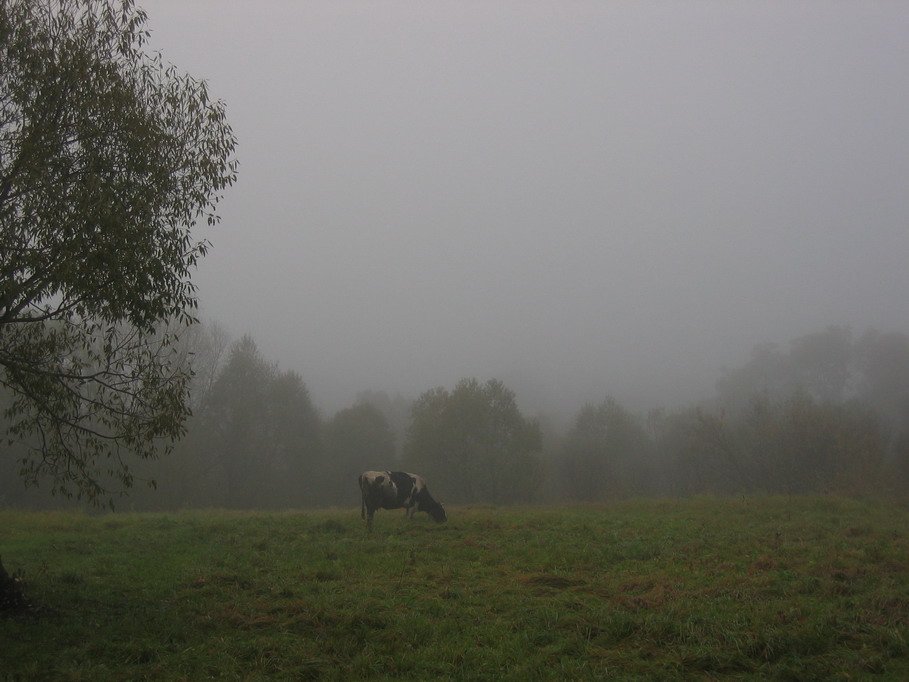 photo "***" tags: landscape, 
