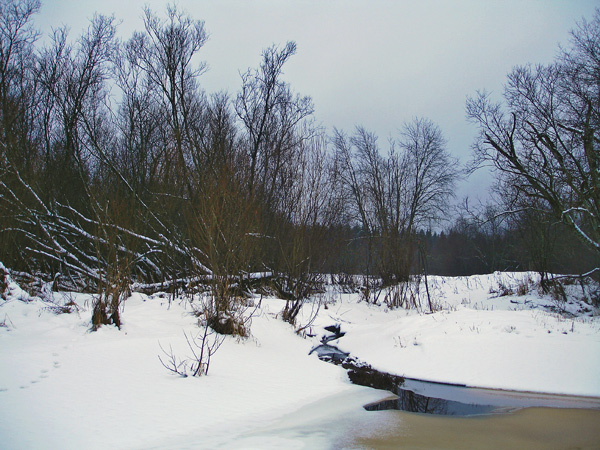 фото "Ручей зимой" метки: пейзаж, зима