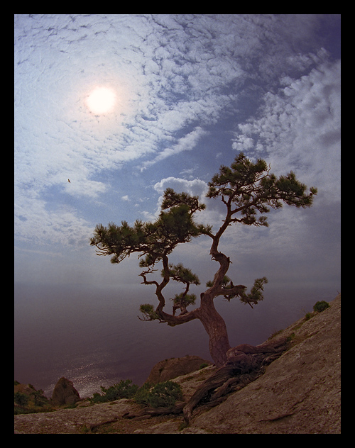 photo "To the Sun..." tags: landscape, clouds, mountains