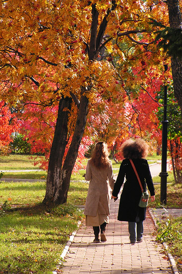 photo "Осенняя прическа" tags: genre, landscape, autumn