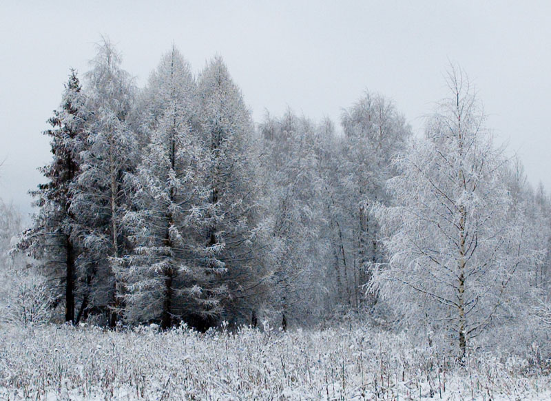 фото "Зимняя сказка (3)" метки: пейзаж, 