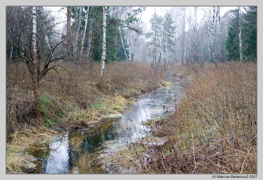 photo "Spring" tags: landscape, forest, winter